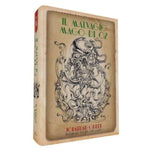 EDIZIONE LIMITATA - Il Malvagio Mago di OZ - Librogame